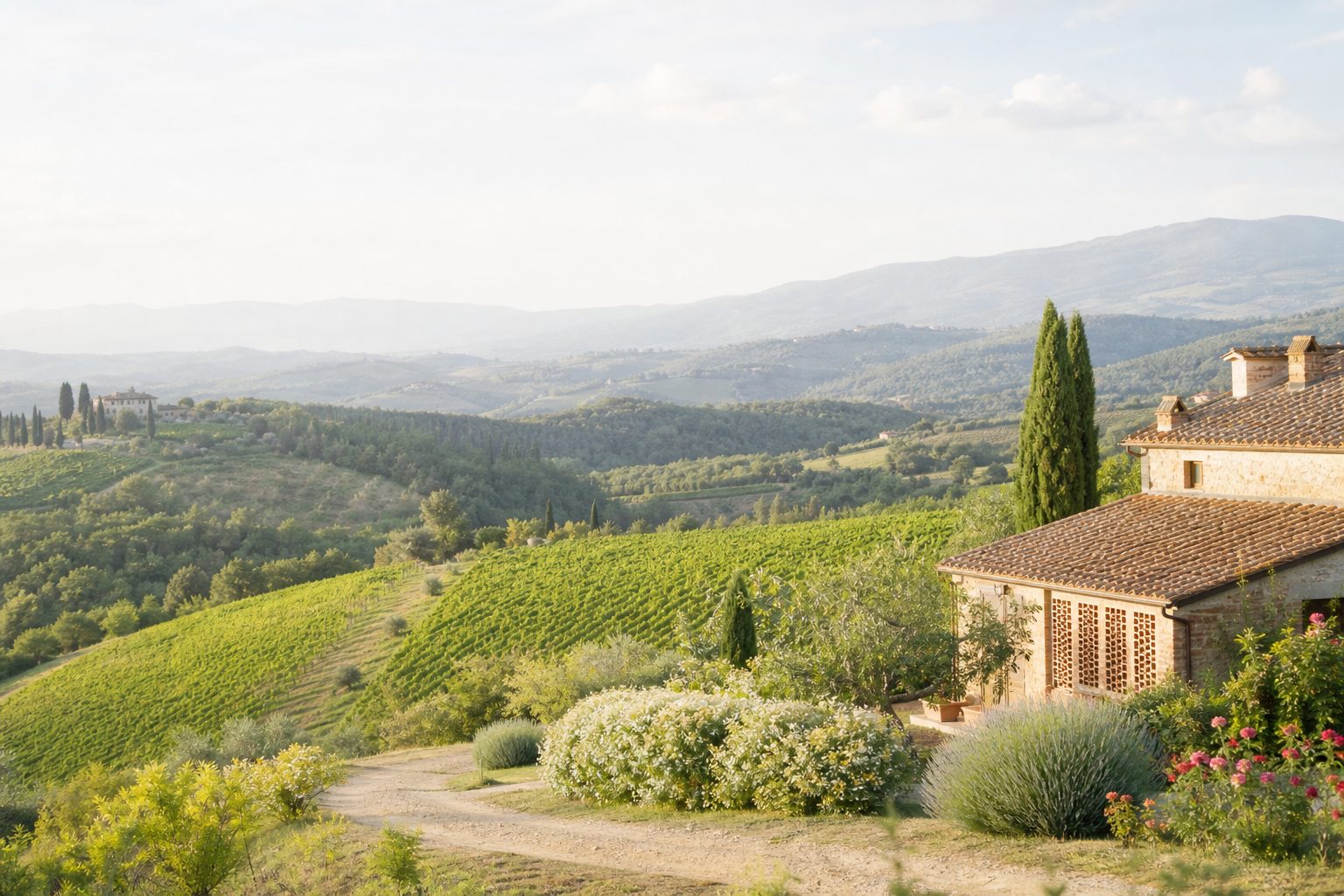 Casale in pietra con tetto in coppi affacciato su vigne e colline coltivate, con un cipresso accanto alla casa.