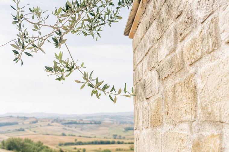 Dettaglio di un muro in mattoni bruni con le fughe di malta in evidenza.